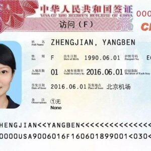 China visa F Exchanges visits study tours or other relevant activities - 中国交流访问考察F签证申请